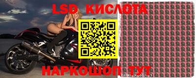spice Бузулук