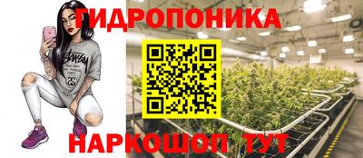 2c-b Будённовск