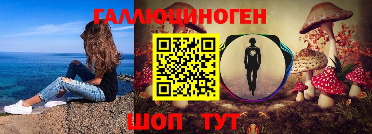 Псилоцибиновые грибы Magic Shrooms  Псилоцибиновые грибы MAGIC MUSHROOMS  Кохма  Вход с VPN 